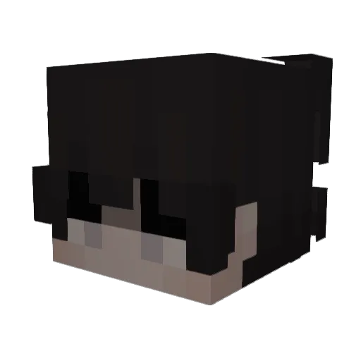 vsstcc Minecraft avatar head, 3D render
