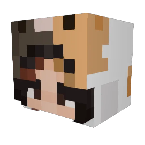 vstrn Minecraft avatar head, 3D render
