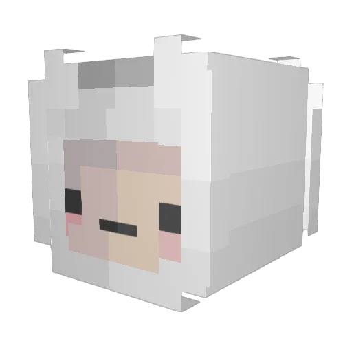 vsve Minecraft avatar head, 3D render