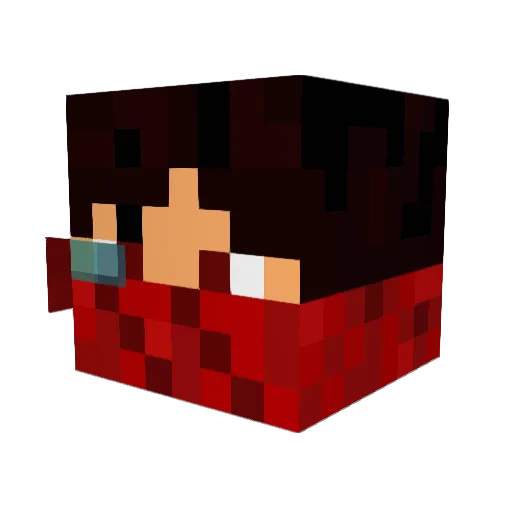 vt2601 Minecraft avatar head, 3D render