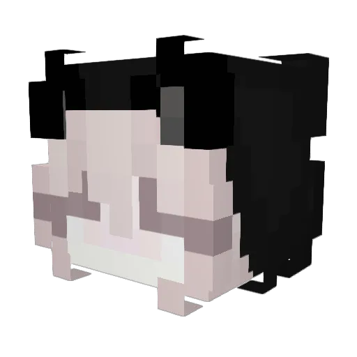 vtkxb6 Minecraft avatar head, 3D render