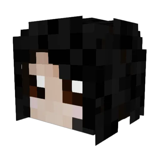 vtxl0g1c Minecraft avatar head, 3D render