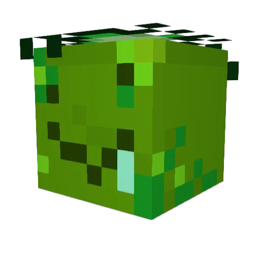 vufjg Minecraft avatar head, 3D render