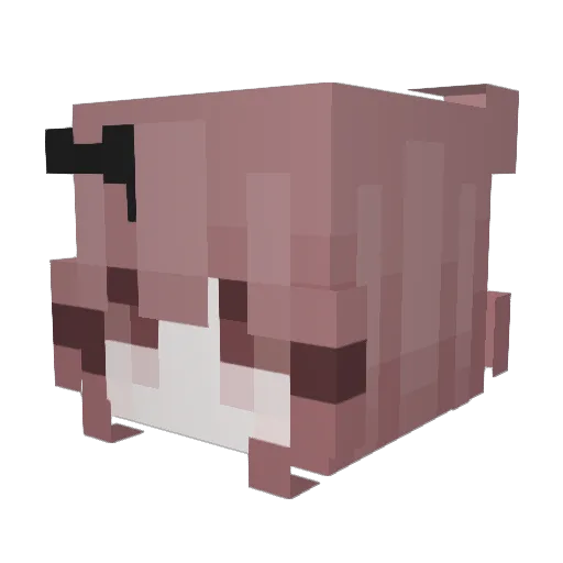 vuiii Minecraft avatar head, 3D render