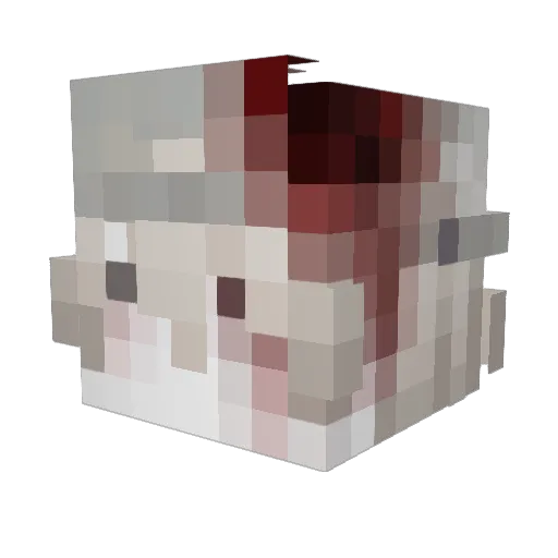 vukclan Minecraft avatar head, 3D render