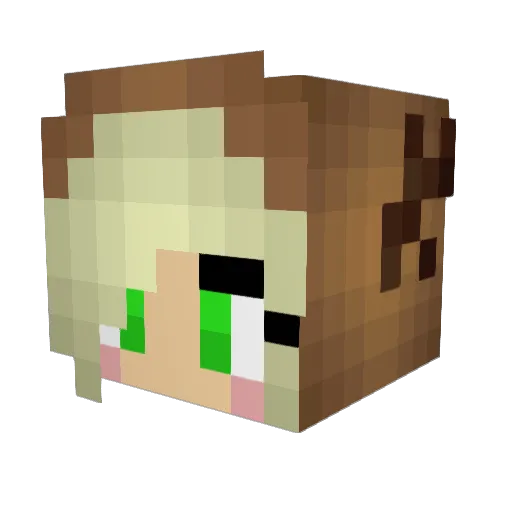 vulpecula_flava Minecraft avatar head, 3D render