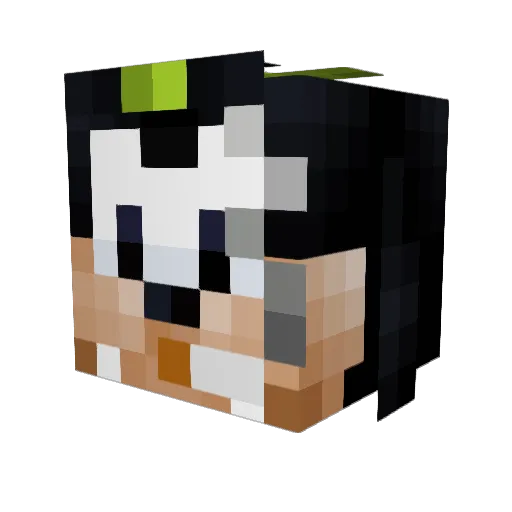 vuqqloco Minecraft avatar head, 3D render