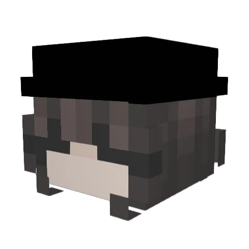 vuroraa Minecraft avatar head, 3D render