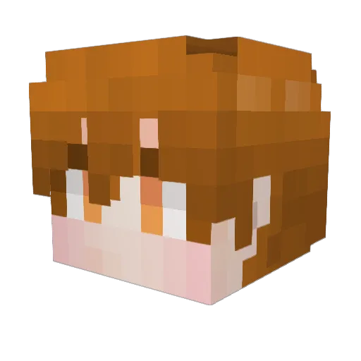 vusual Minecraft avatar head, 3D render
