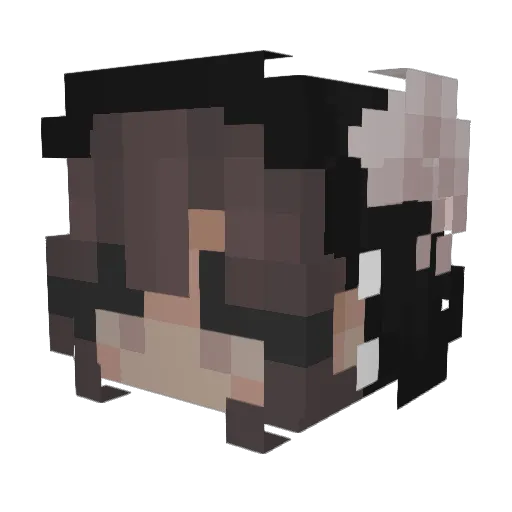 vvaannnee Minecraft avatar head, 3D render