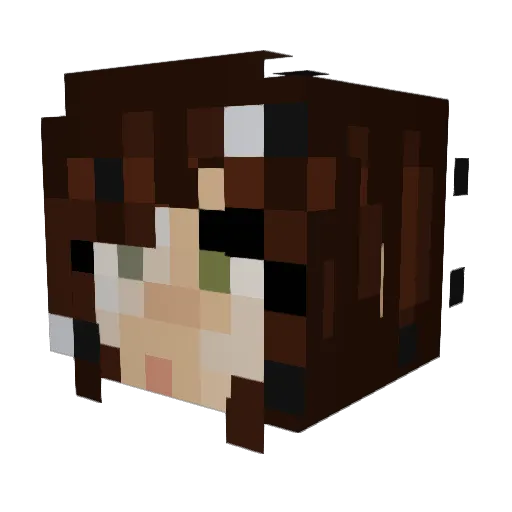 vverook Minecraft avatar head, 3D render