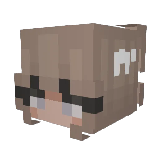 vvinteri Minecraft avatar head, 3D render