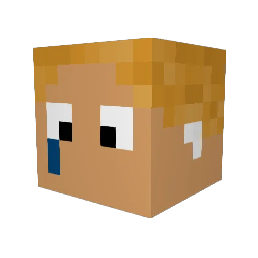 vvoder Minecraft avatar head, 3D render