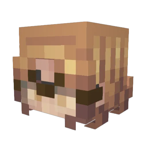 vvsophie Minecraft avatar head, 3D render