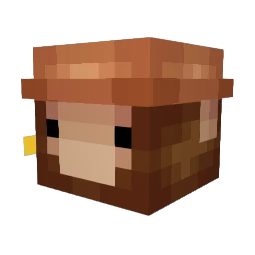 vvt Minecraft avatar head, 3D render