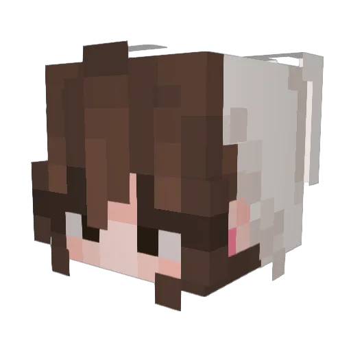 vwo0ps Minecraft avatar head, 3D render