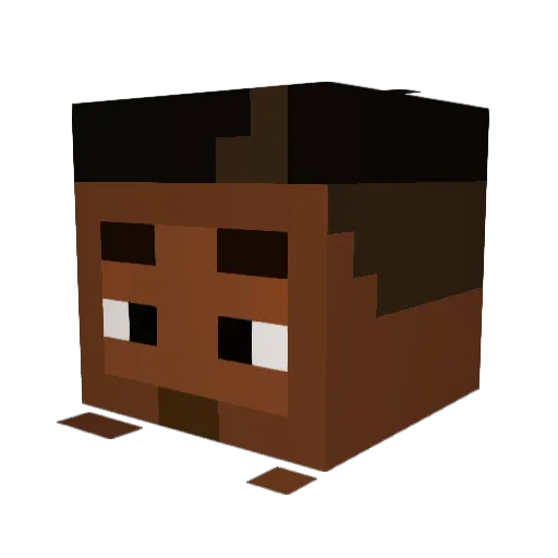 vxct Minecraft avatar head, 3D render