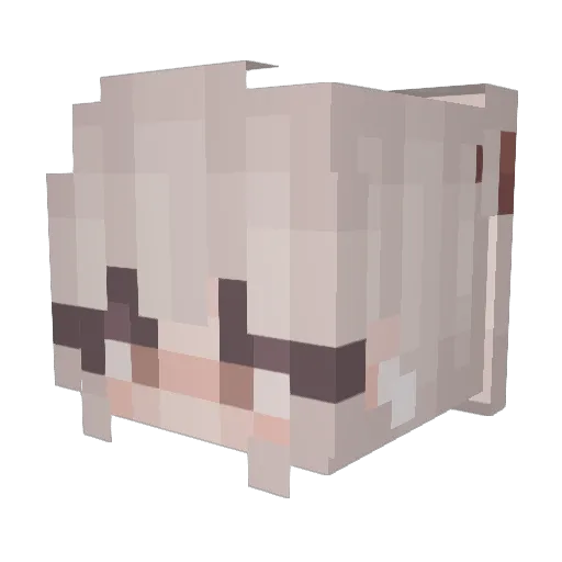 vxndea Minecraft avatar head, 3D render