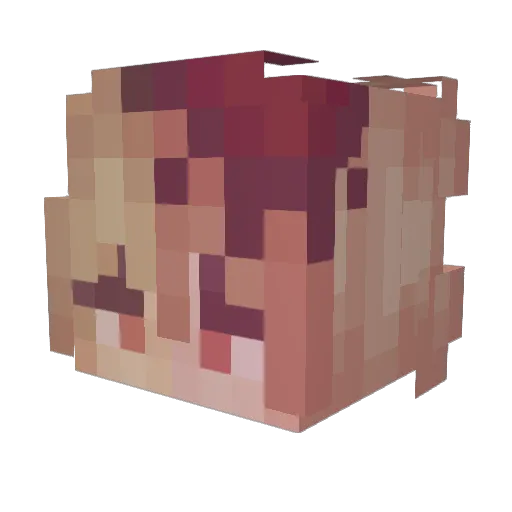 vxnti_ Minecraft avatar head, 3D render