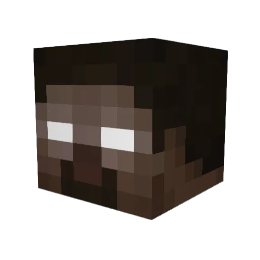 vxsay Minecraft avatar head, 3D render