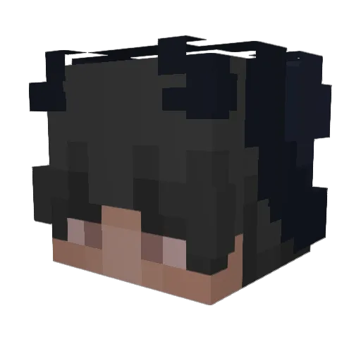 vxshh Minecraft avatar head, 3D render