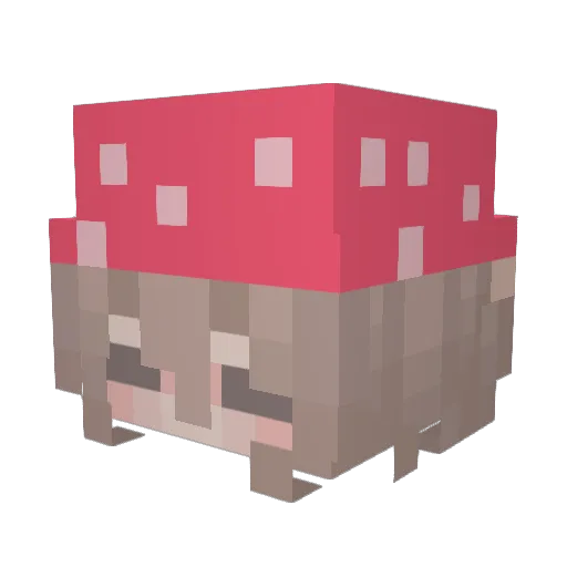 vxx53 Minecraft avatar head, 3D render