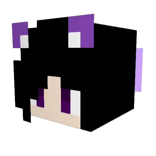 vytimes2 Minecraft avatar head, 3D render