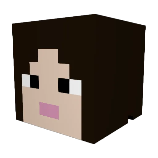 vyzeevee Minecraft avatar head, 3D render