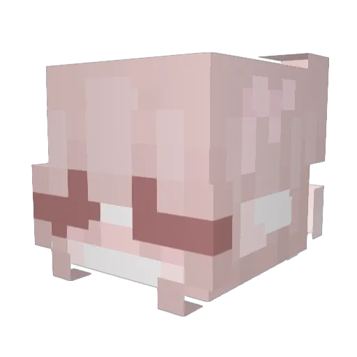 vzie Minecraft avatar head, 3D render