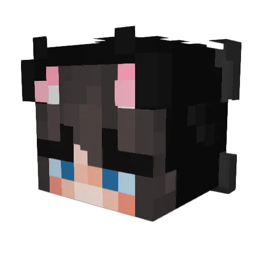 vznn Minecraft avatar head, 3D render