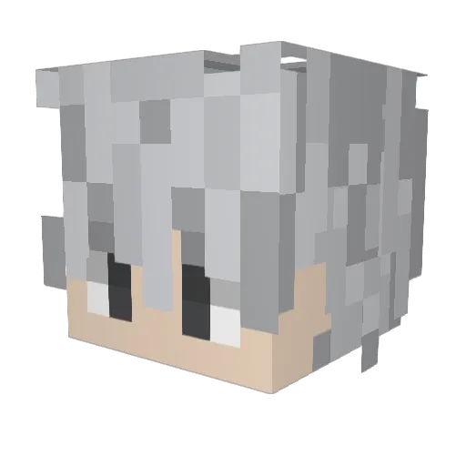 w00lg4m3ss Minecraft avatar head, 3D render