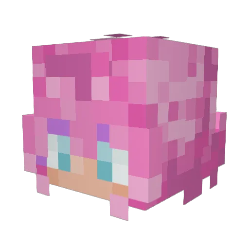 w00puh Minecraft avatar head, 3D render