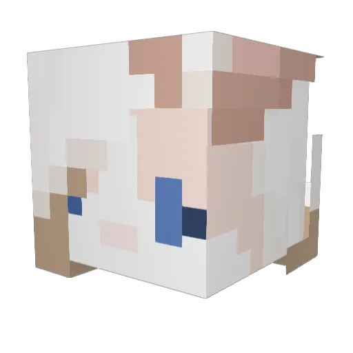 w00ts Minecraft avatar head, 3D render