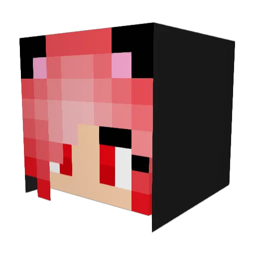 w0lfb0y Minecraft avatar head, 3D render