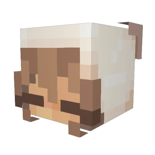 w0ober Minecraft avatar head, 3D render