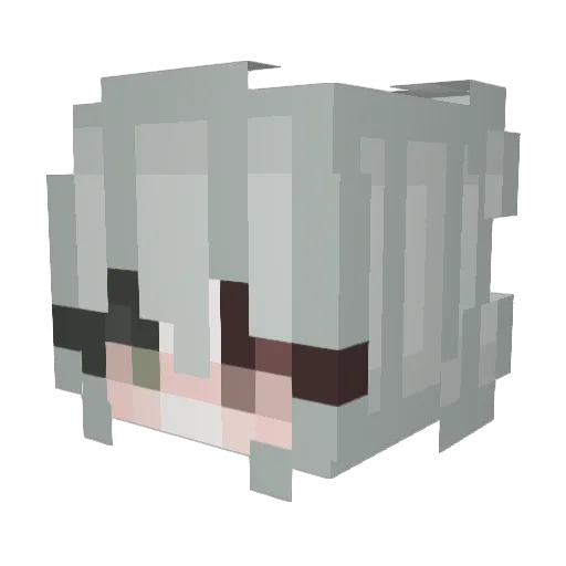 w1337xx Minecraft avatar head, 3D render