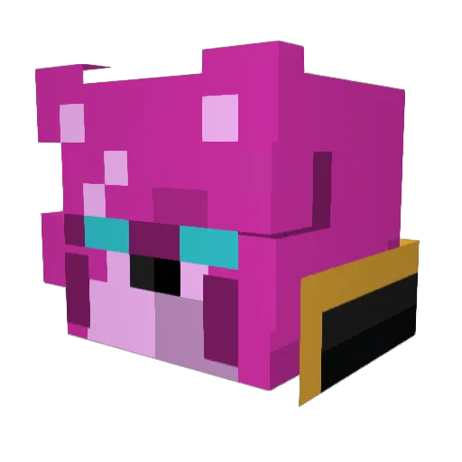 w1bbs Minecraft avatar head, 3D render