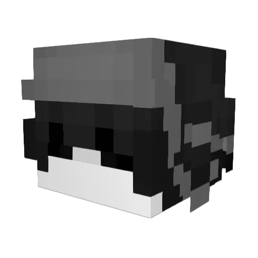 w1deboy Minecraft avatar head, 3D render