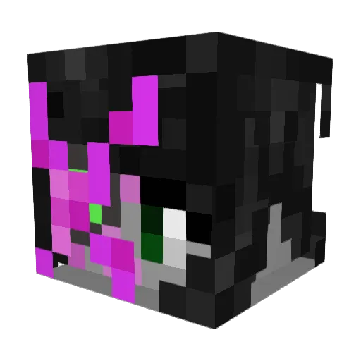 w1fi_bandit Minecraft avatar head, 3D render