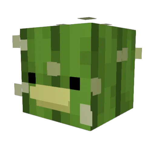 w1ldt3rr0r Minecraft avatar head, 3D render