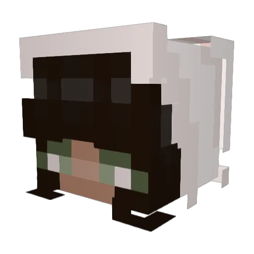 w1lll0ww Minecraft avatar head, 3D render