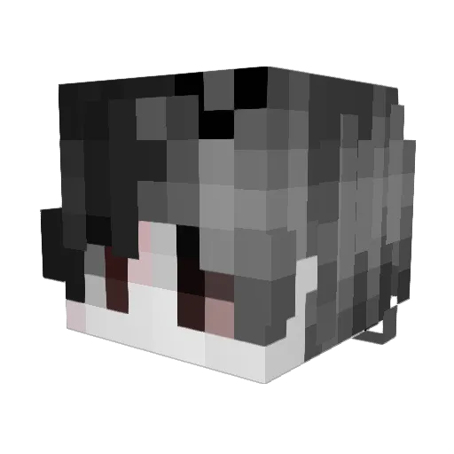 w1nngs Minecraft avatar head, 3D render