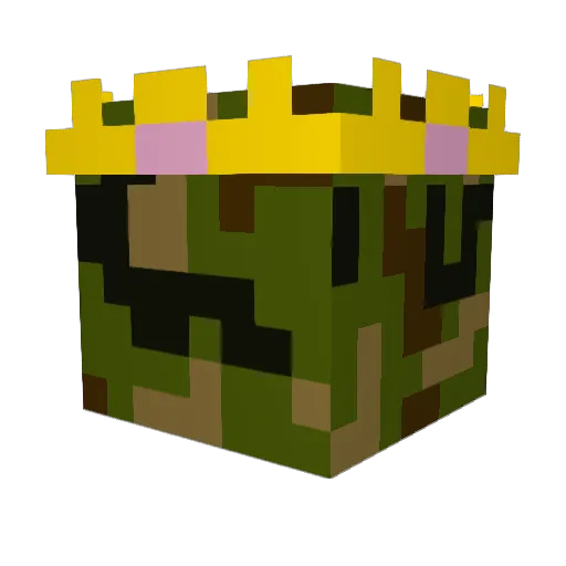w1shas Minecraft avatar head, 3D render