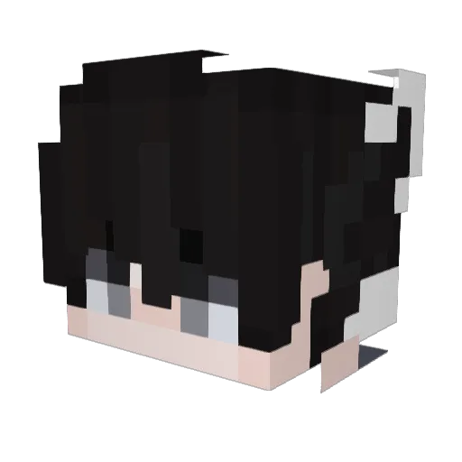 w21d Minecraft avatar head, 3D render