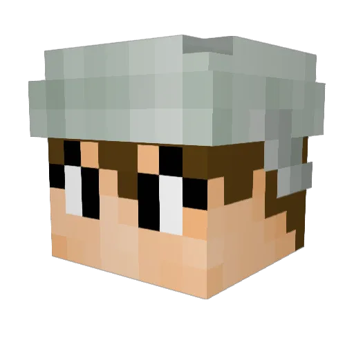 w33b00 Minecraft avatar head, 3D render