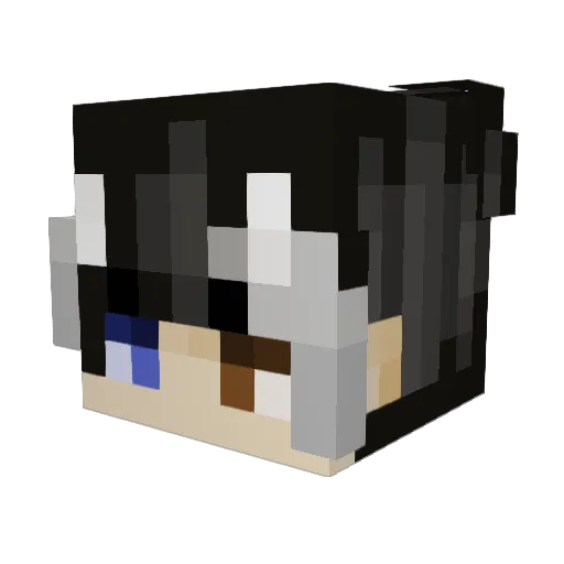 w3sky_ Minecraft avatar head, 3D render