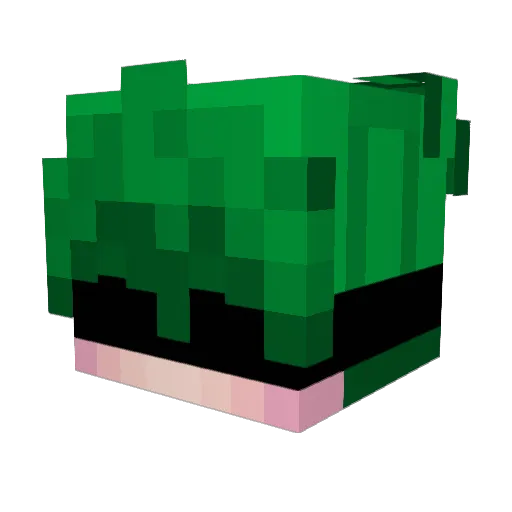 w4cher Minecraft avatar head, 3D render