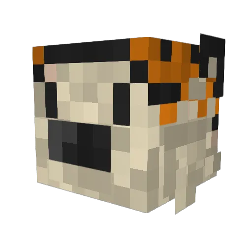 w4ngx0r Minecraft avatar head, 3D render