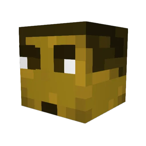 w4r059 Minecraft avatar head, 3D render