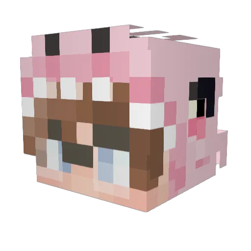 w4rt00th Minecraft avatar head, 3D render